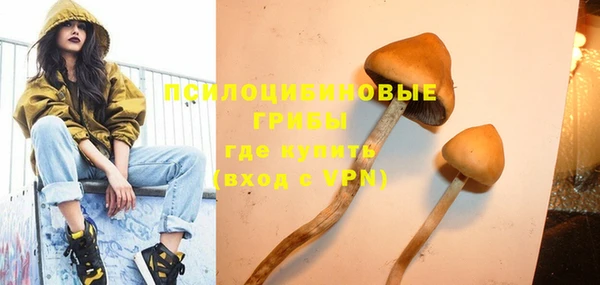 хмурый Зеленокумск