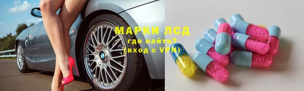 PSILOCYBIN Инта