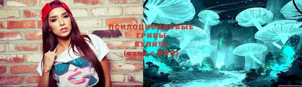 хмурый Зеленокумск