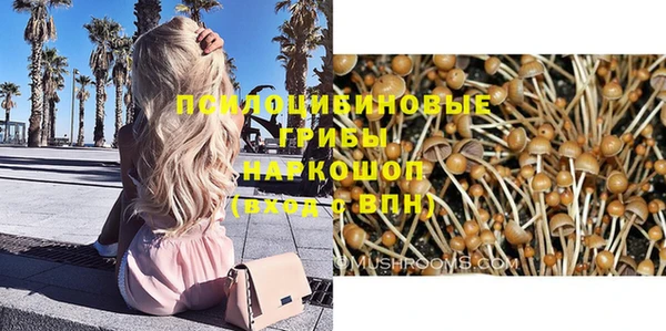 амф Зерноград