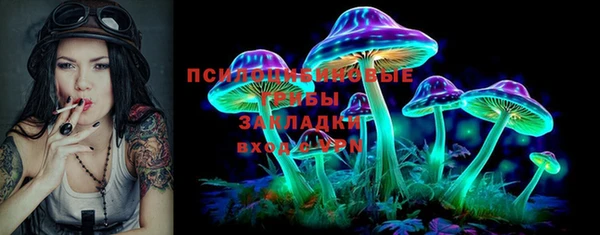 амф Зерноград